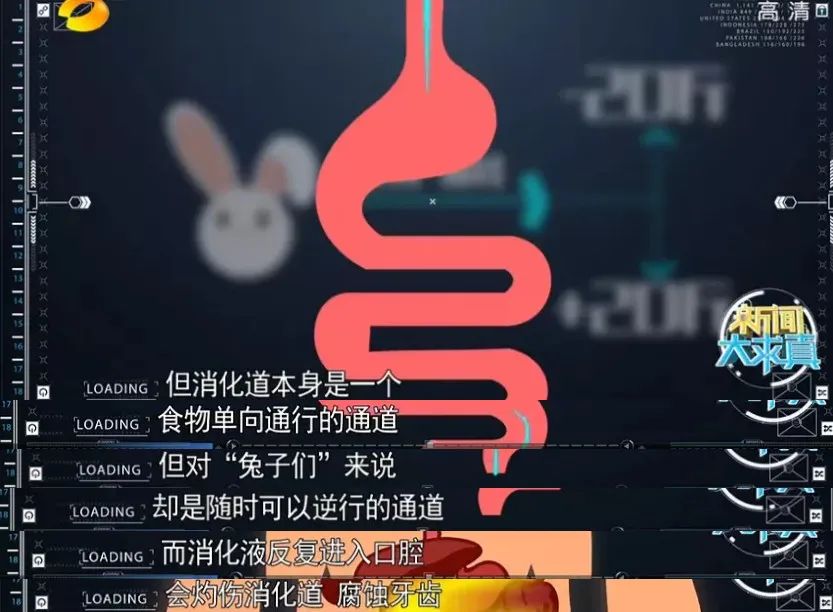 被她毁掉的人生,不自律毁掉了自己