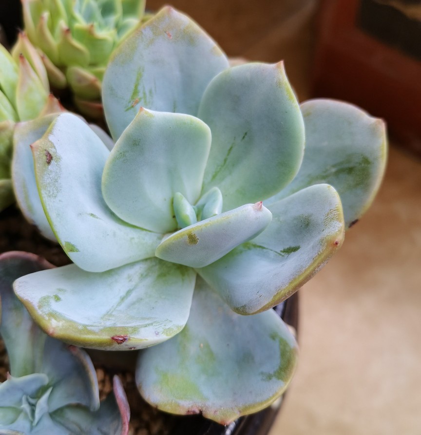 两个月过去了，十元以下的小东西都怎么样了？