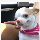 过年必囤的便宜零食,年货必囤零食合集