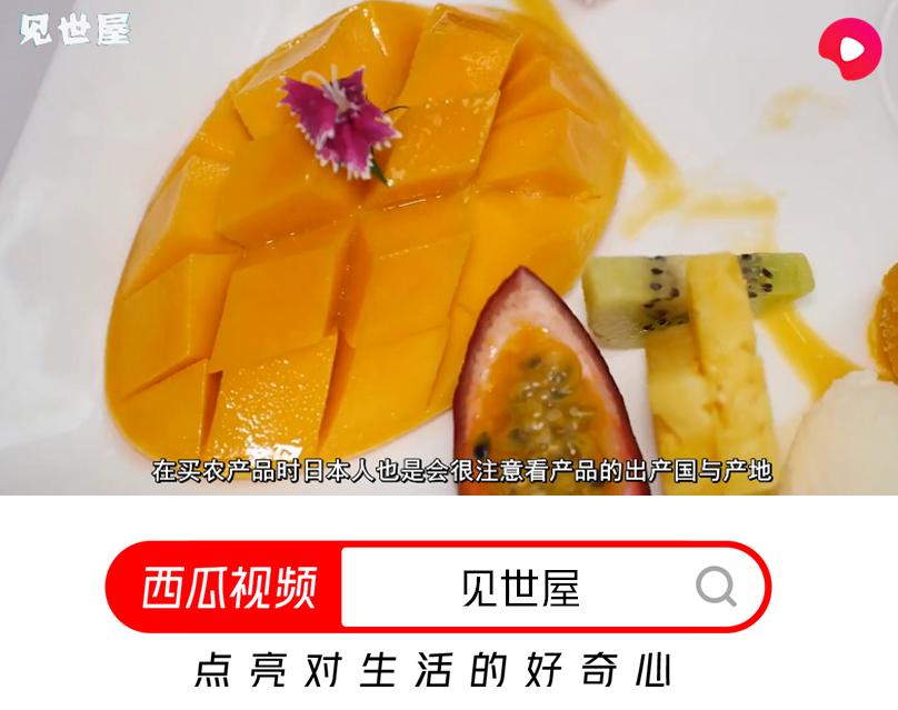 日本农协的经营模式,日本农协的弊端