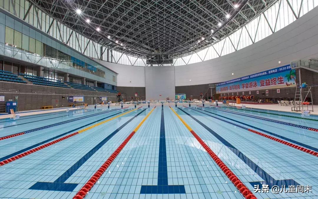 深圳游泳教练培训学校有哪些,深圳成人游泳培训班哪里好