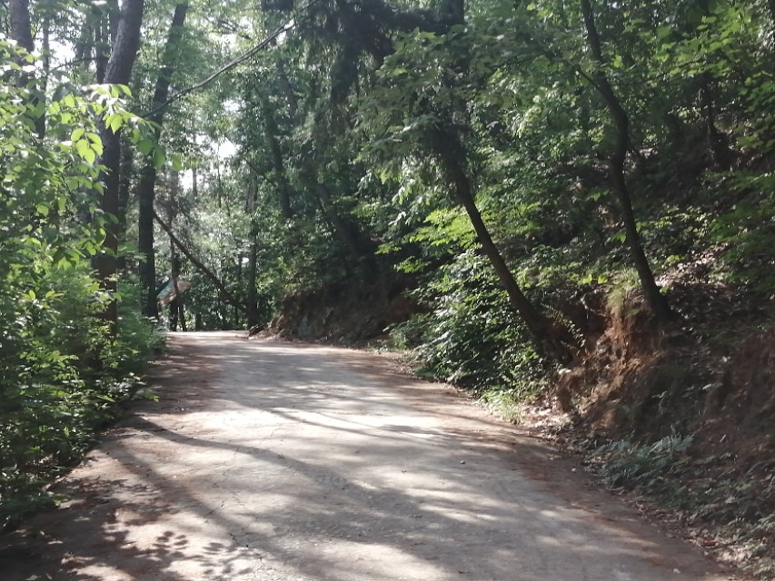 镇平菩提寺文物,镇平菩提寺是八大名寺吗