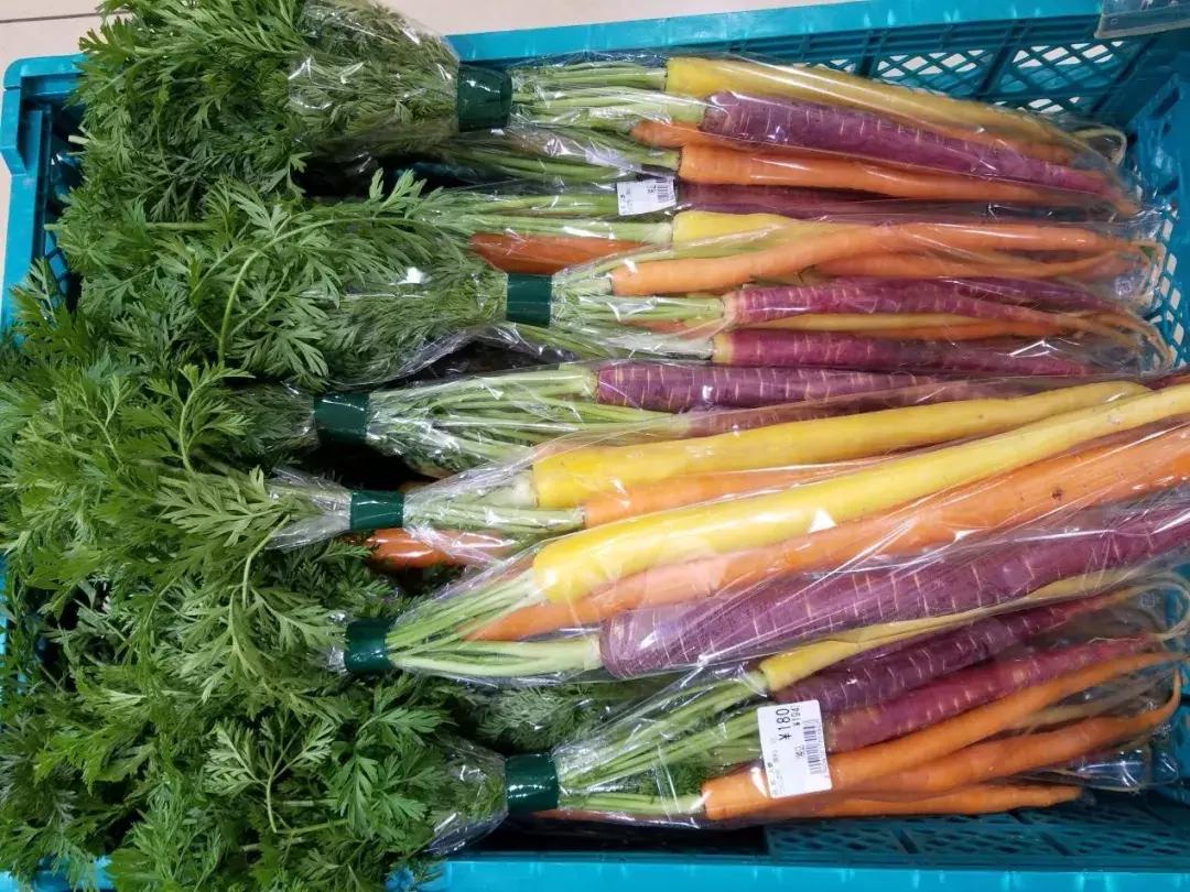 日本精致的日常生活 (日本的精致日常生活)