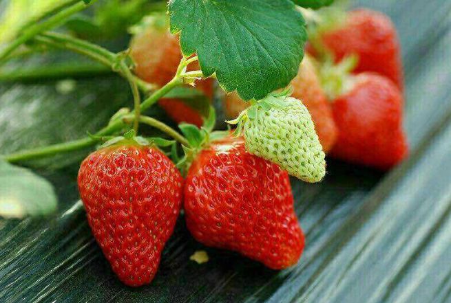 原创诗词七绝新韵,原创诗词五言绝句