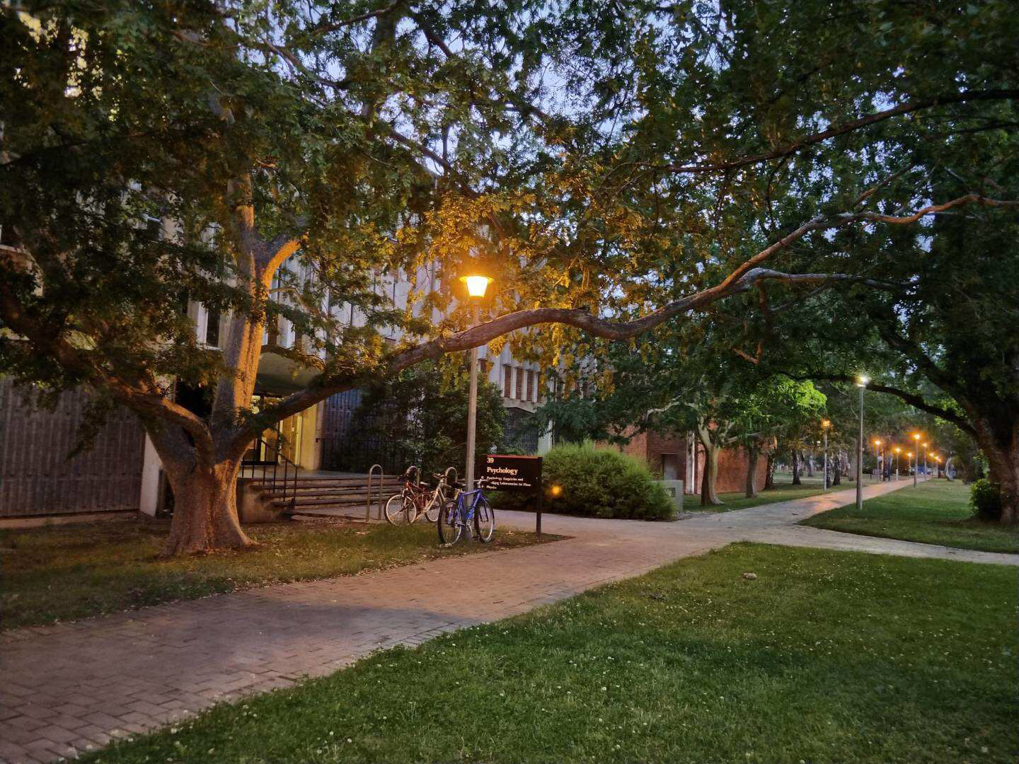 经济类专业移民澳大利亚,澳洲最好找工作的专业有哪些