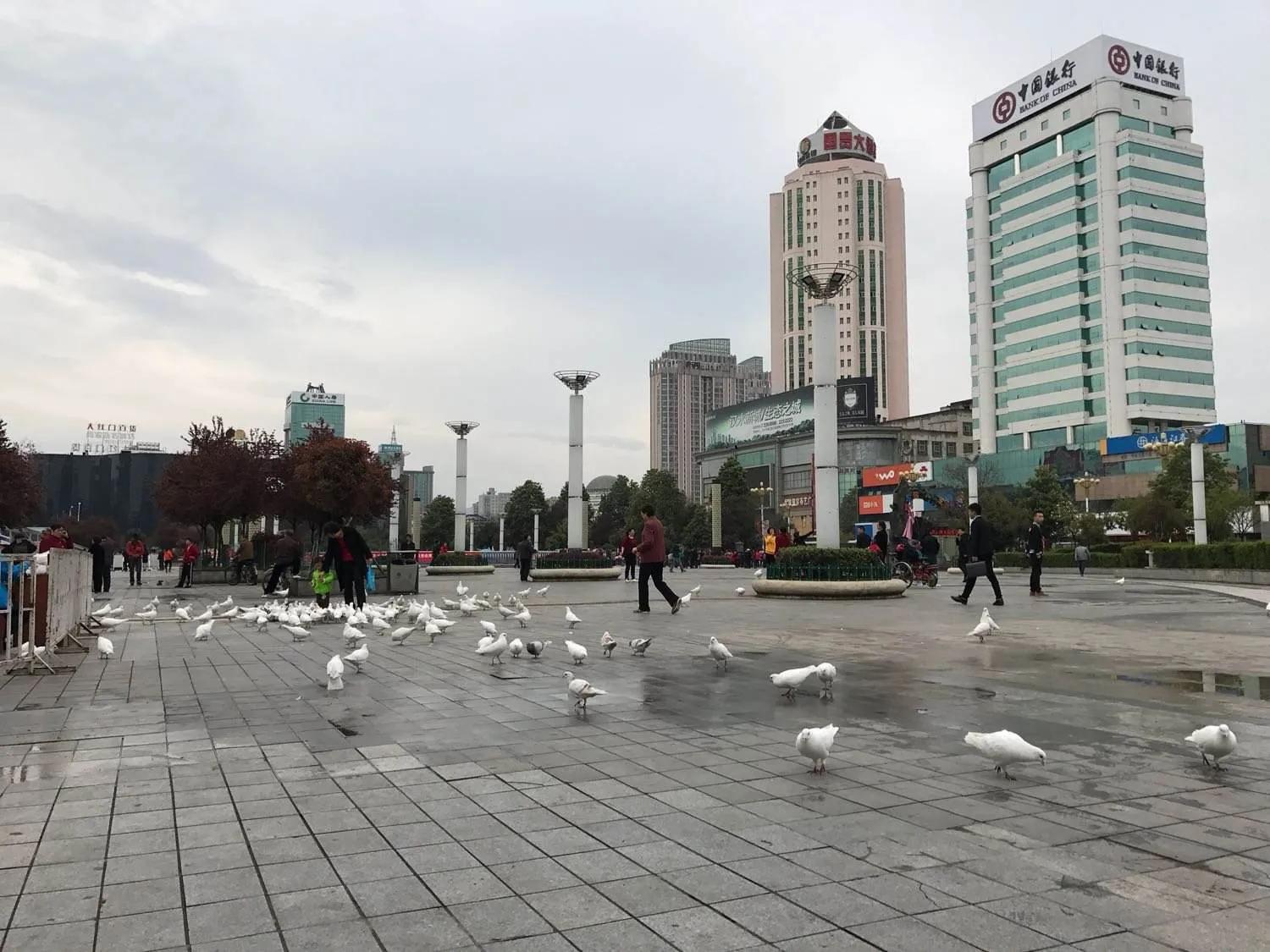 汉中2021年新建学校项目计划,汉中今年扩建多少个学校