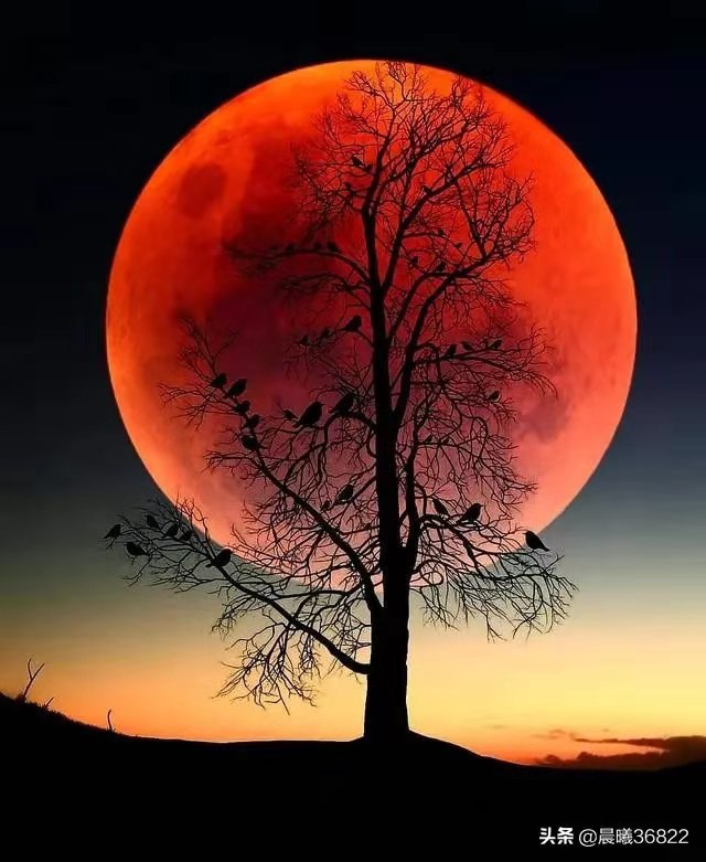 宀是一座房，有田能致富，有媳家可安，生丁添口方得家和夫妻宁