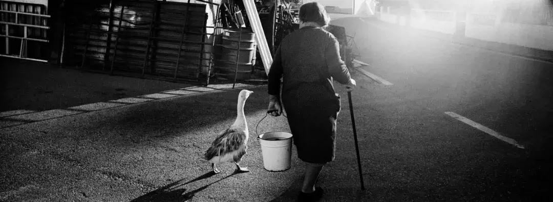 2023年中法文化之春亮点纷呈,2024中法文化之春开幕式视频