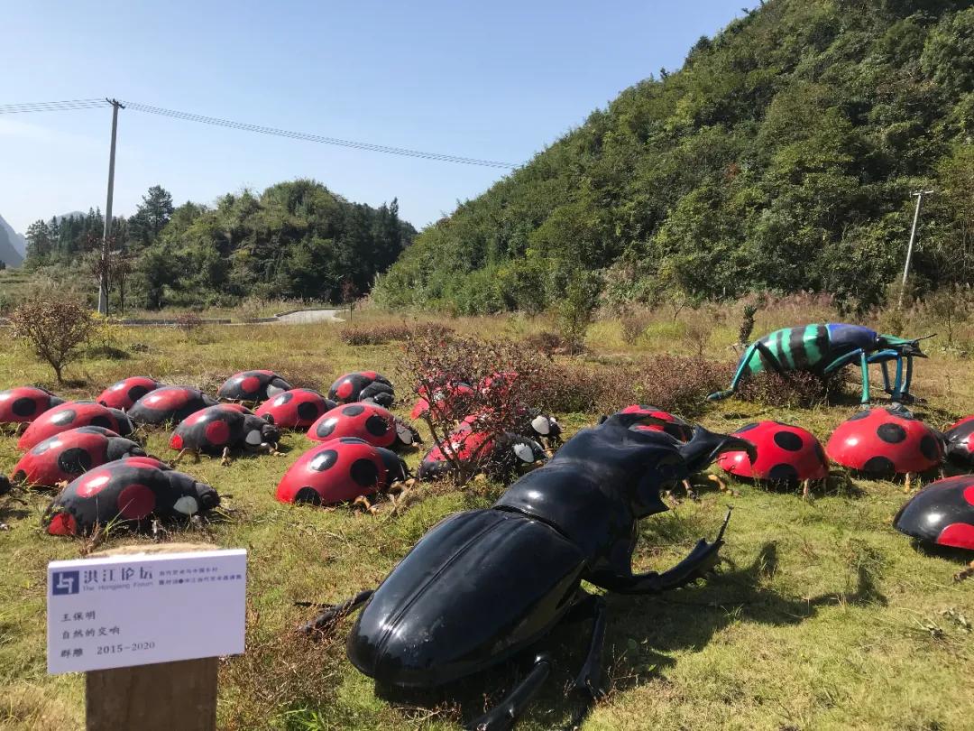 娲睙鑹烘湳璁哄潧,娲睙鏍囧織璁捐