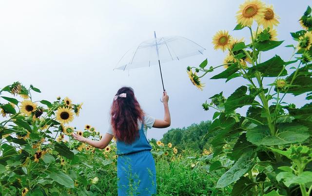 下雨拍照姿势大全不带伞,旅游打伞拍照姿势