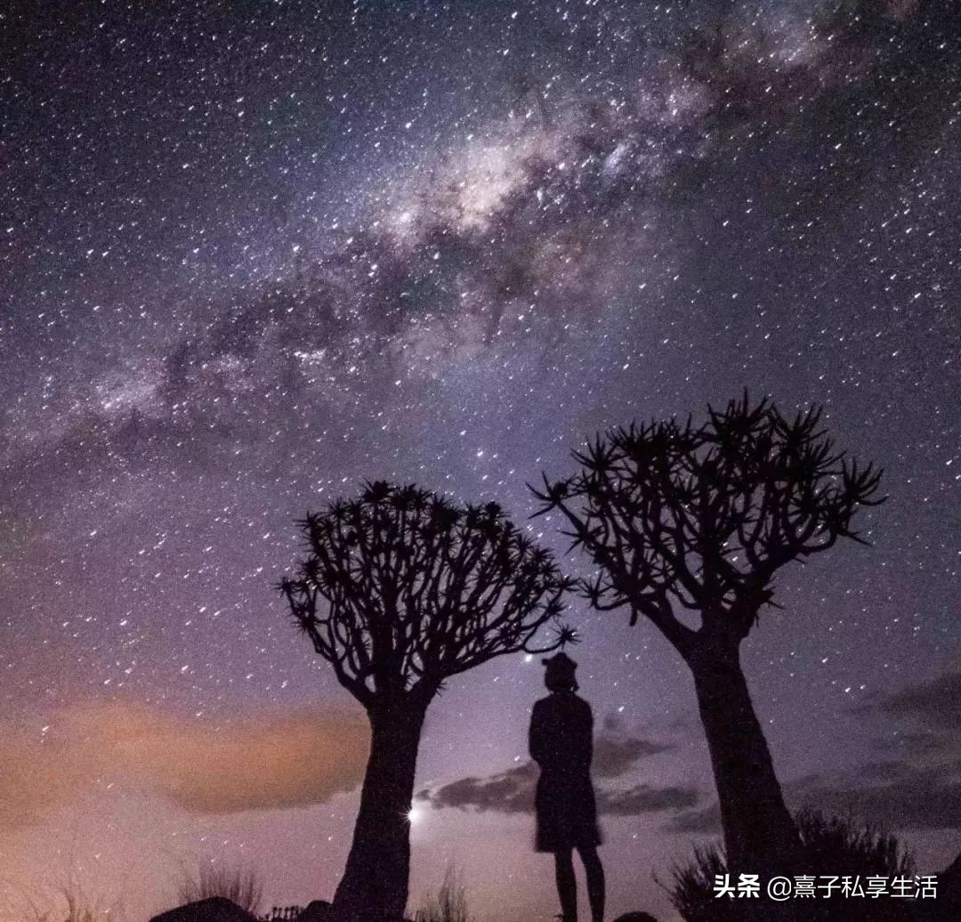 环游世界夫妻赚了十个亿,情侣环游世界视频