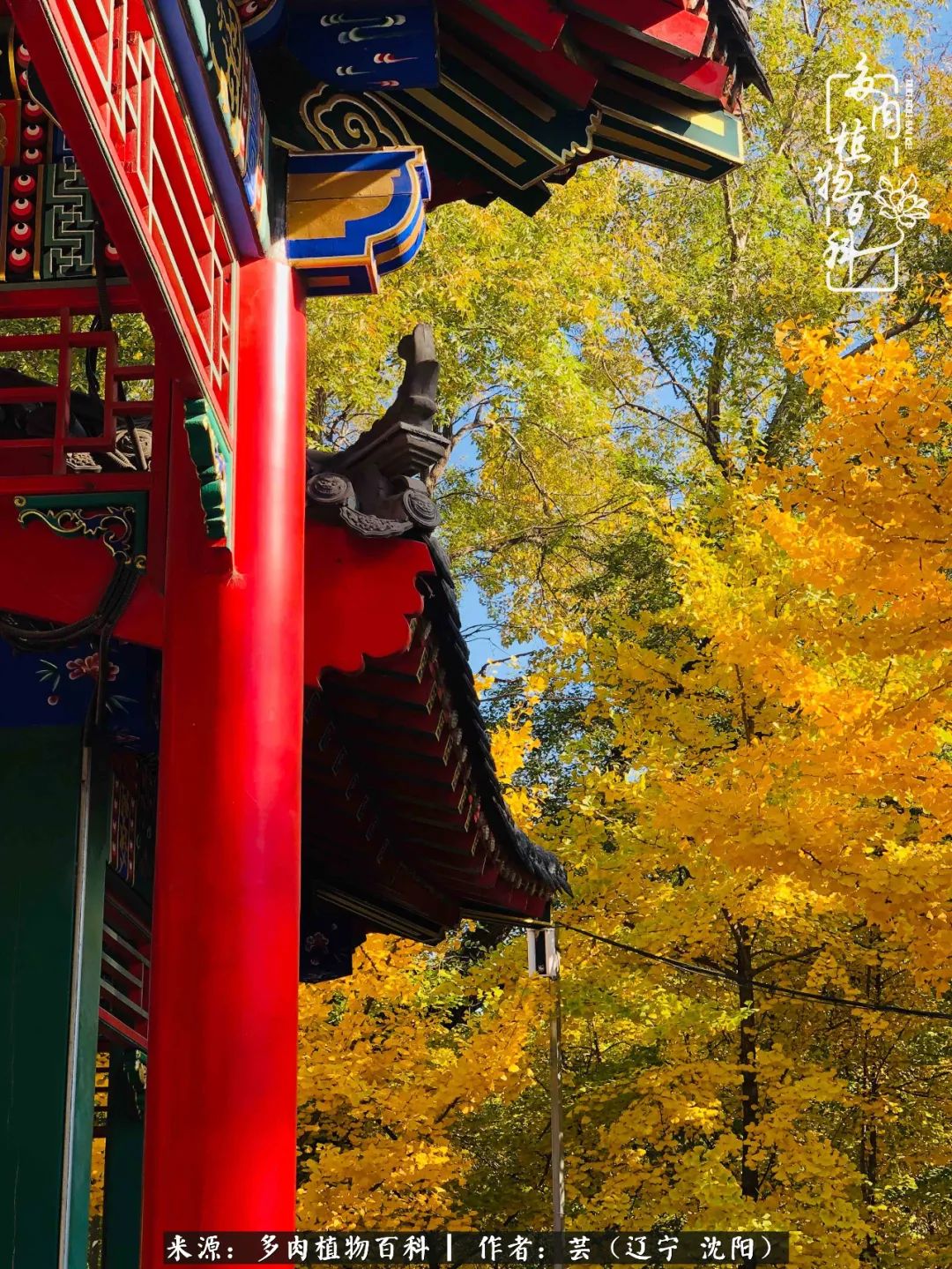 万物皆有灵性有因必有果,万物皆有灵性与生命