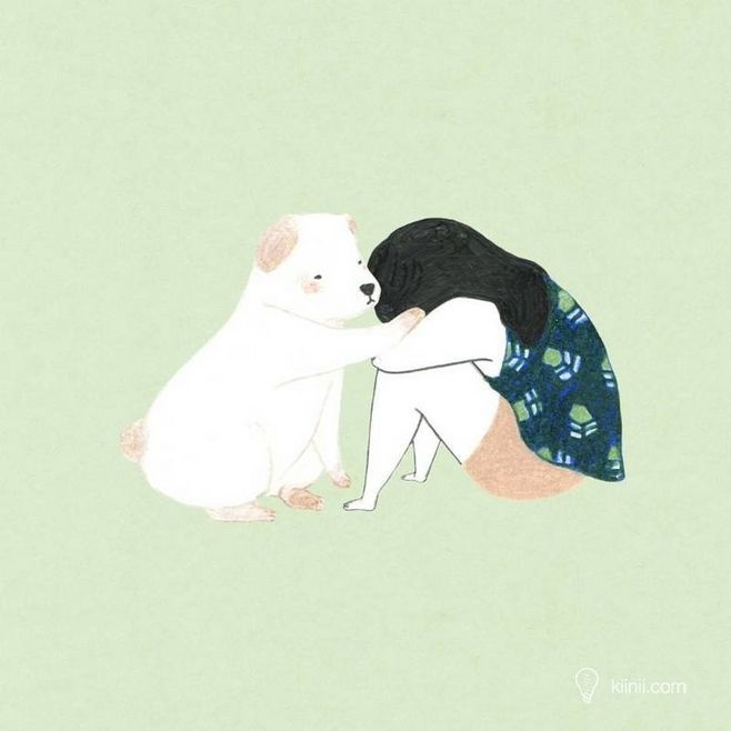 狗狗冷知识大合集视频,狗狗冷知识狗粮