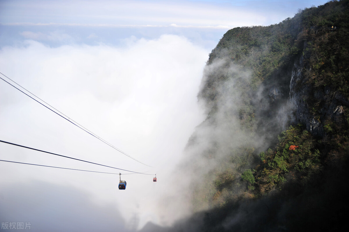 孟晚舟在张家界,孟晚舟来张家界旅游全视频