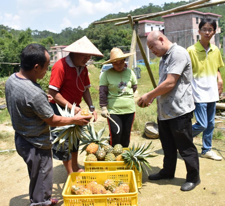 閫傚悎骞夸笢绉嶇殑蹇粨鏋滅殑姘存灉,鏂板瀷姘存灉璇曠