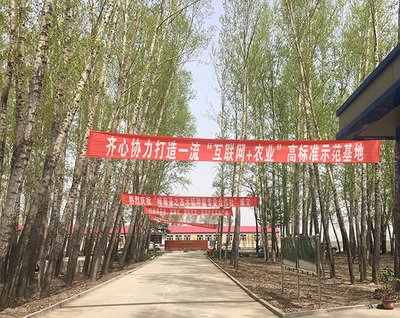 土地入股分红农民不愿意怎么办,农民土地入股的弊端