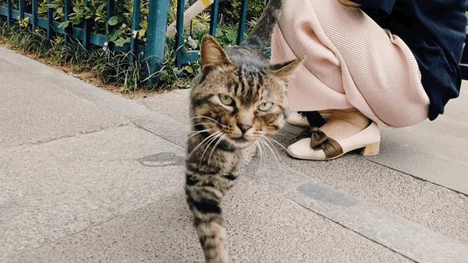 拍摄旅行vlog需要哪些设备,新手拍旅游vlog用什么设备