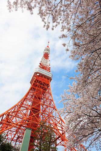 亚洲杯巡礼之阿联酋,亚洲杯日本队巡礼
