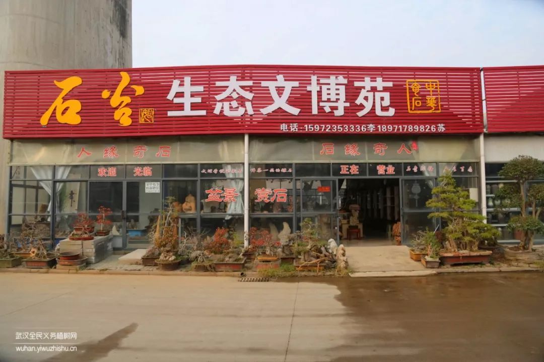 园艺沙龙|前方高能！一大波人相约逛花市，究竟淘了些啥？