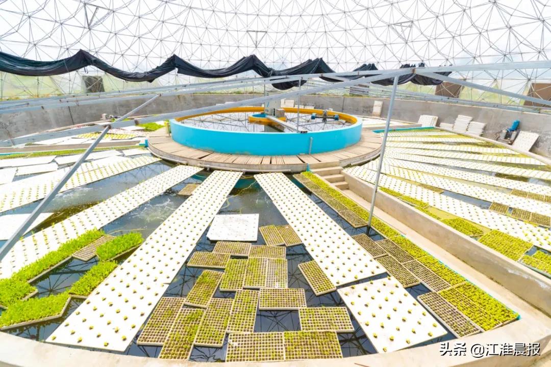 民宿户外大锅灶,民宿大锅灶房