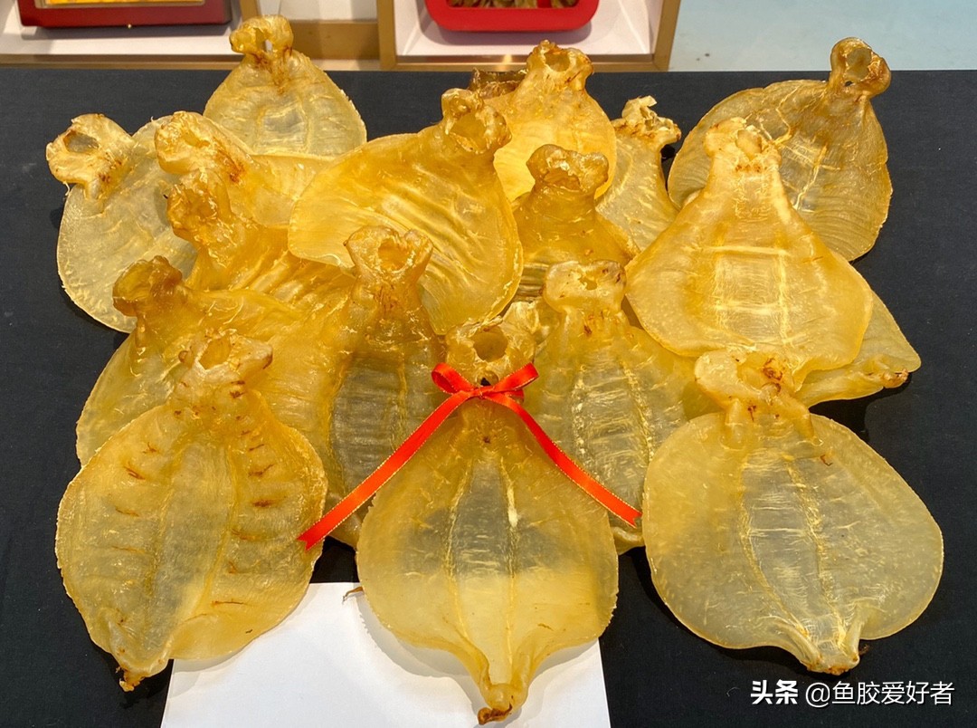 不建议入手的鱼胶,买鱼胶时问商家哪些问题