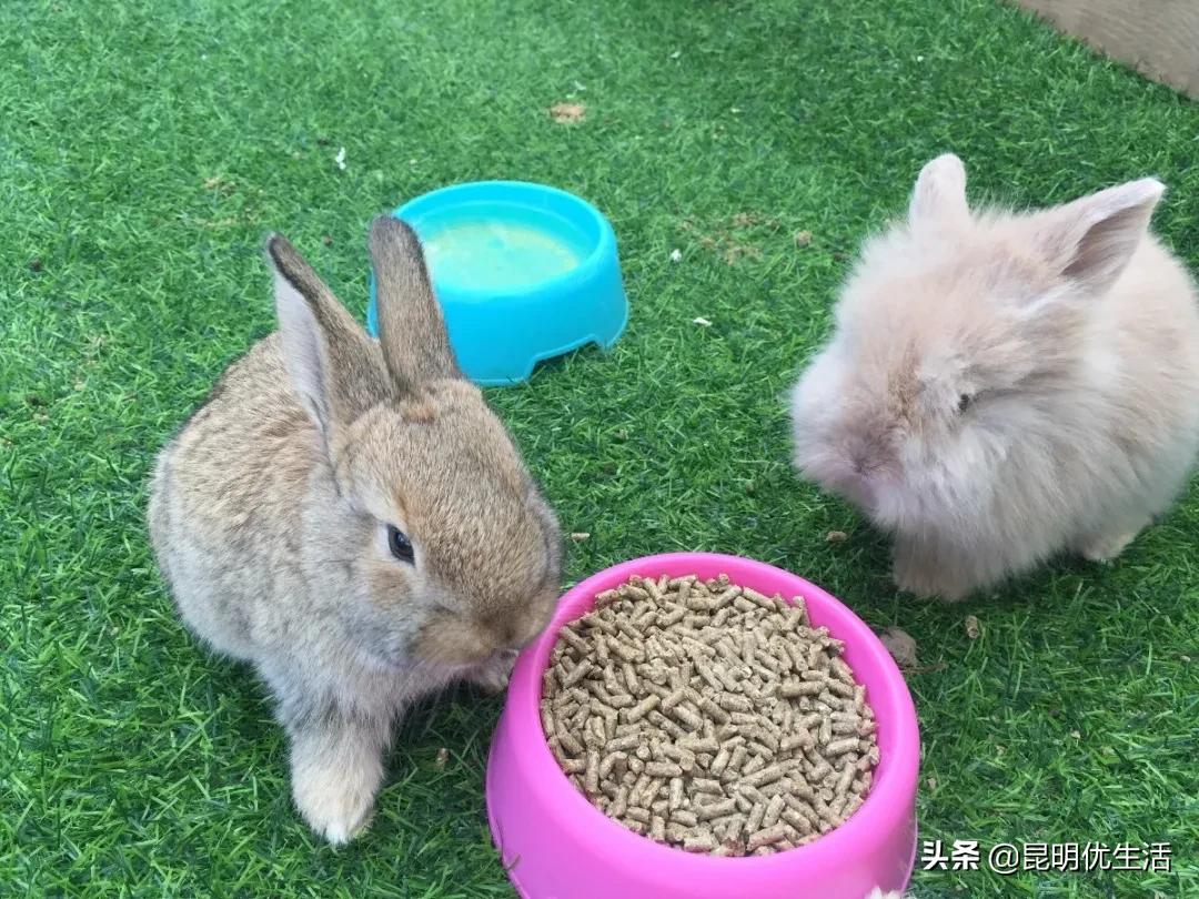 昆明周边亲子游乐场,昆明大型亲子乐园