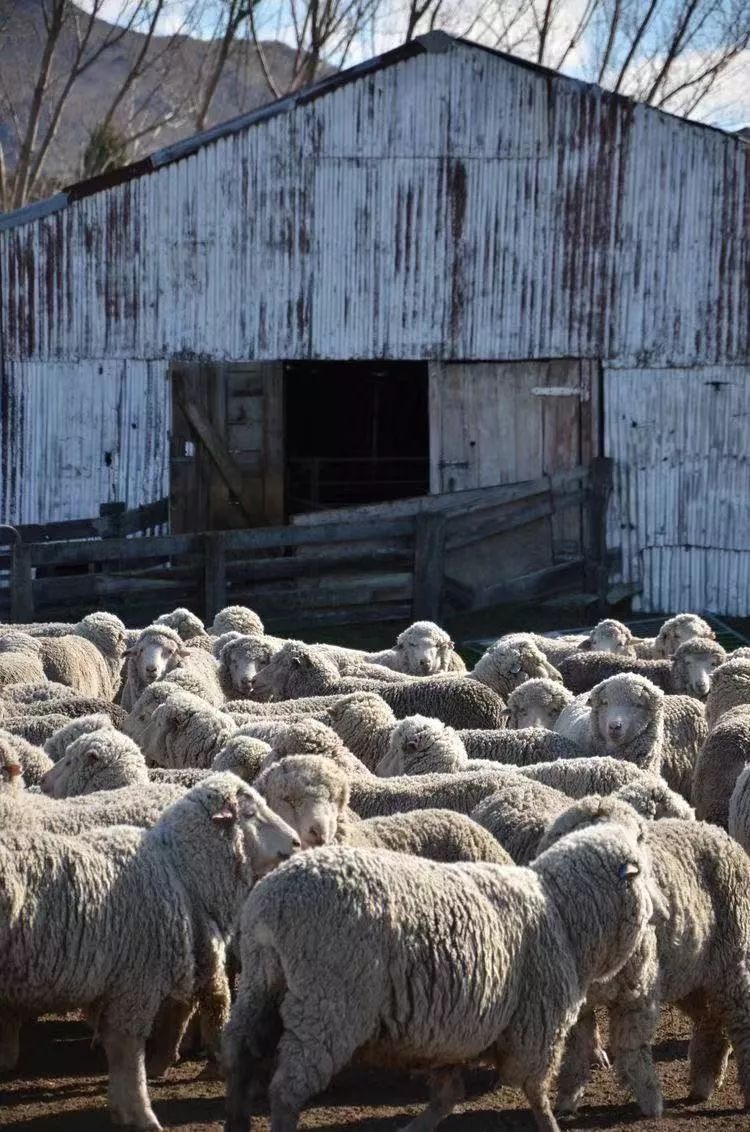 3s床垫哪家好,3s床垫多少钱一套