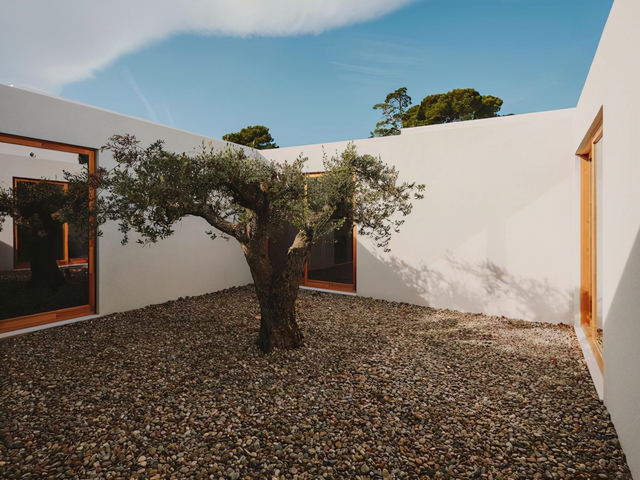 阿兹海默日间医疗中心，利用自然提高幸福感