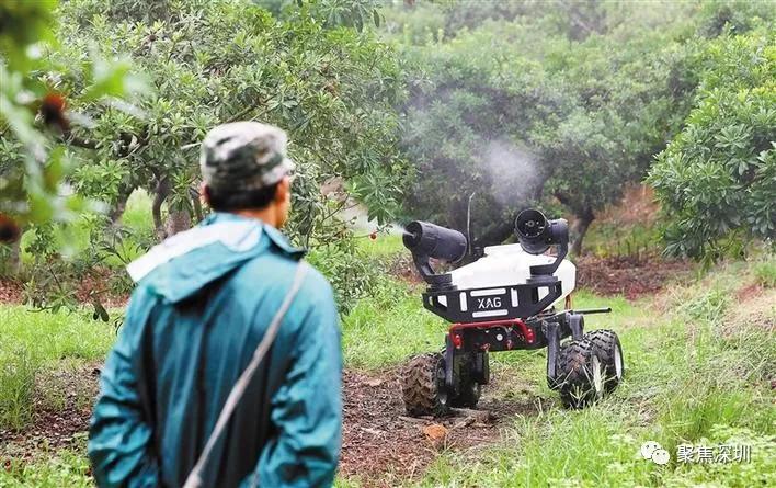 龙岗人才房配租申请,龙岗人才房配租