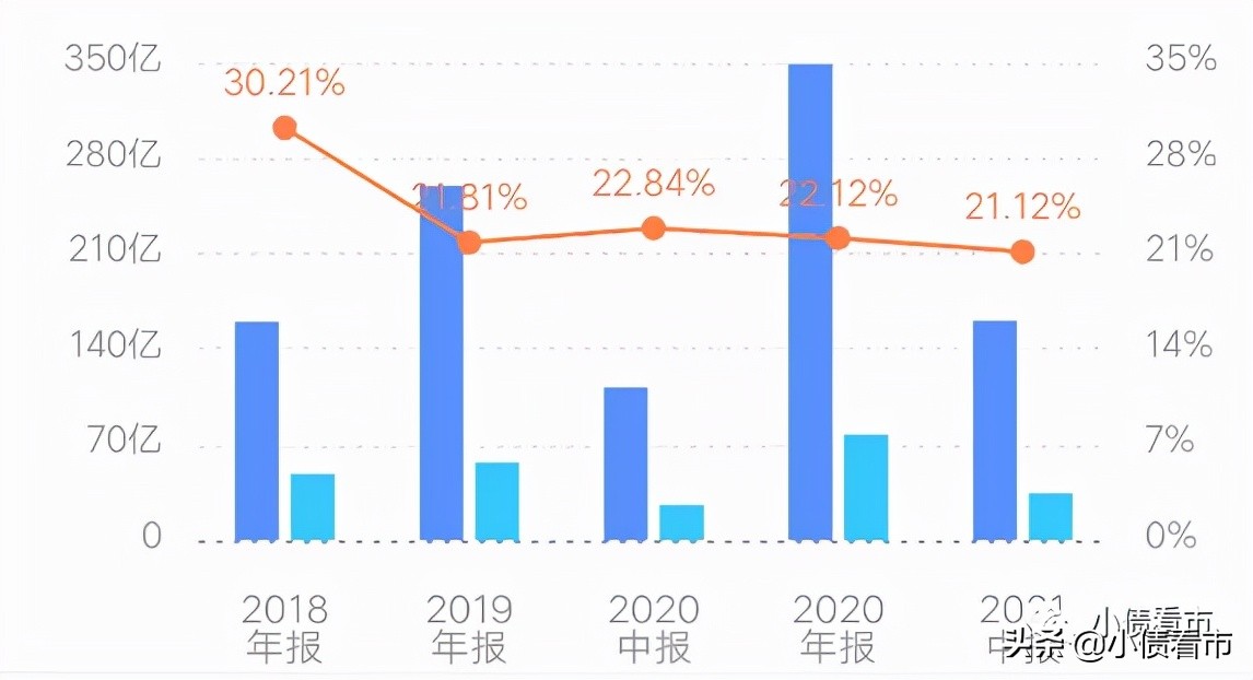 金辉地产总负债,金辉房企简介