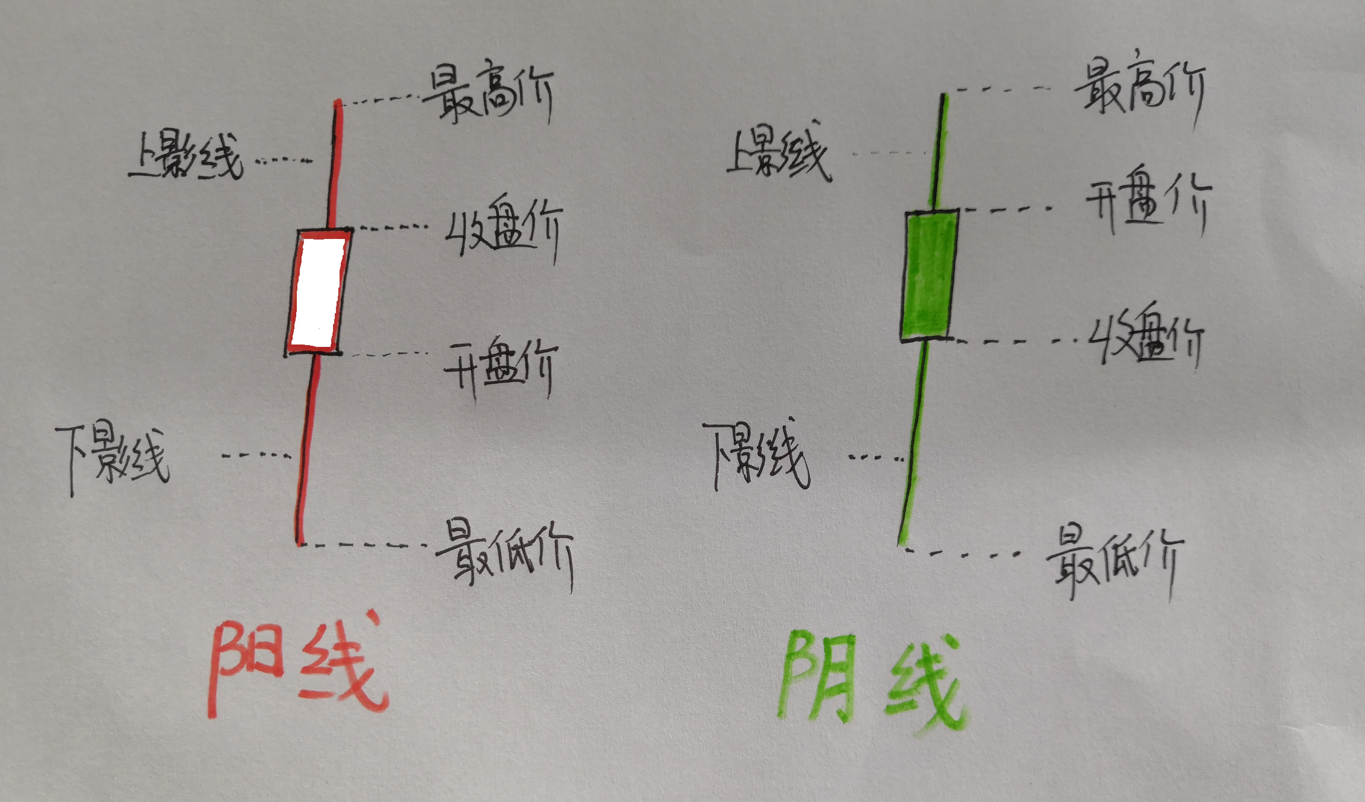 新手入股市基础知识,新手初入股市应该注意什么