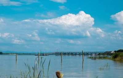 武汉地铁11号线延伸到鄂州机场,鄂州花湖机场地铁