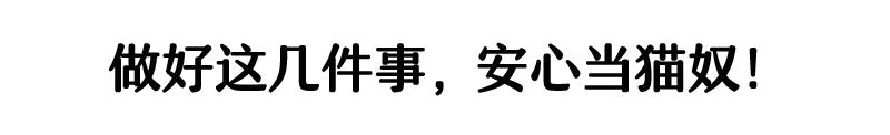 被流浪猫咬了24小时有什么事,被感染新冠的猫咬了一口