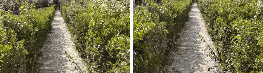 一份来自用户角度的评测：VIVONEX3S手机