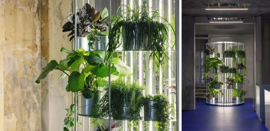 世界上超美的小花店,世界上的小花店