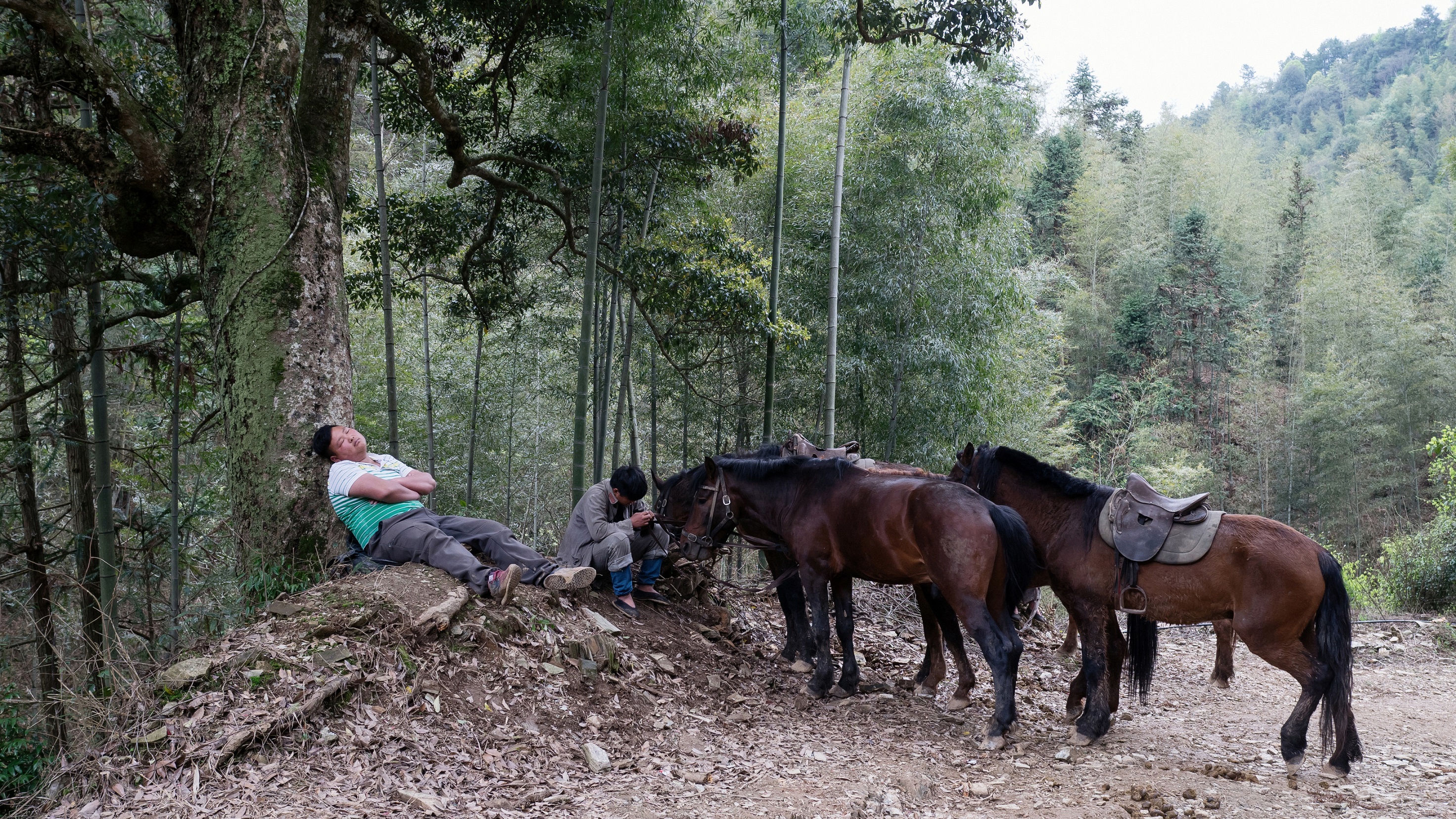 我拍了数千名路人甲,“成年人不要给自己编织梦想”|图集