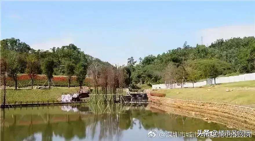 深圳开挂,深圳未来6座新地标