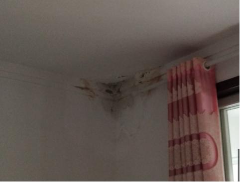 屋面防水漏水怎么补救,屋面漏水防水施工工艺