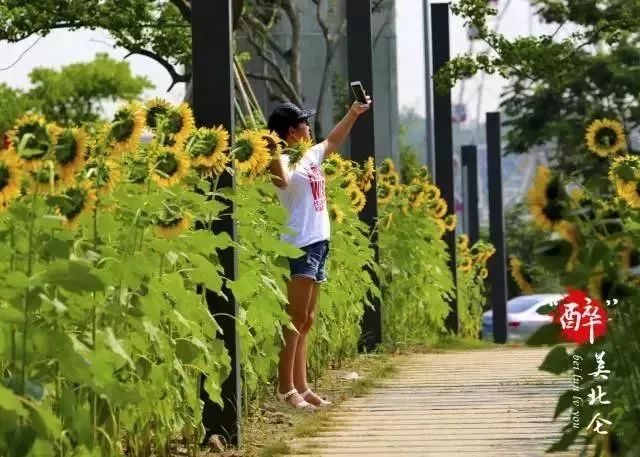 北仑旅游攻略大全集,北仑旅游攻略