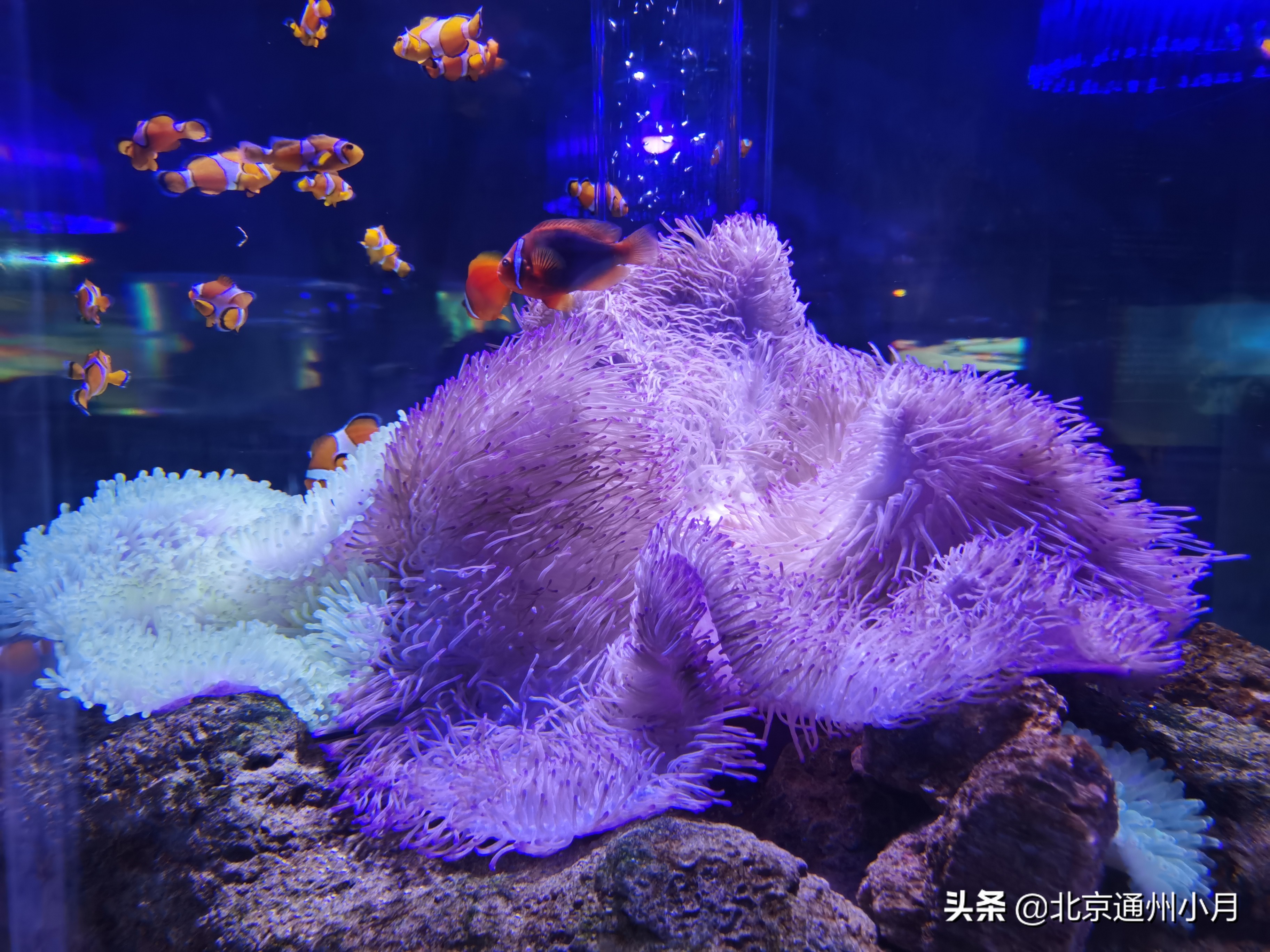 北京海底世界游览时间表,北京海底世界值得玩