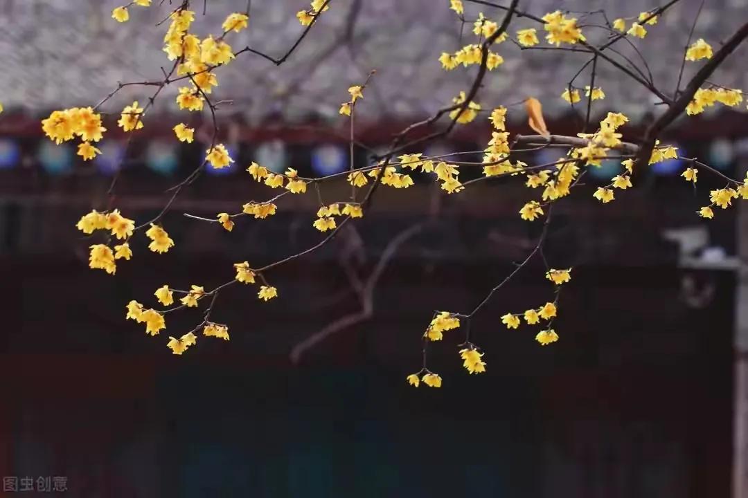 改变老公怎么那么难,改变老公计划