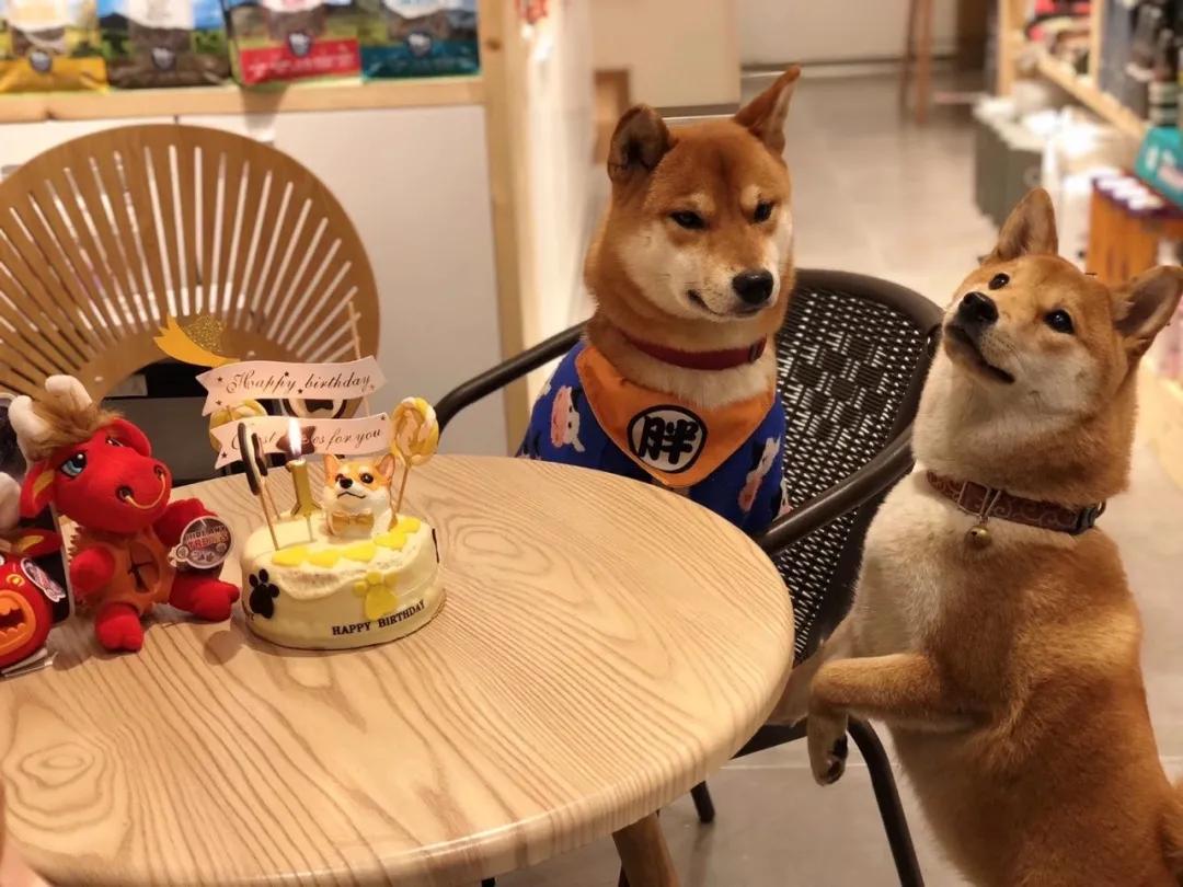 小卧室悬空电视柜效果图大全,悬空电视柜效果图大全简约风格