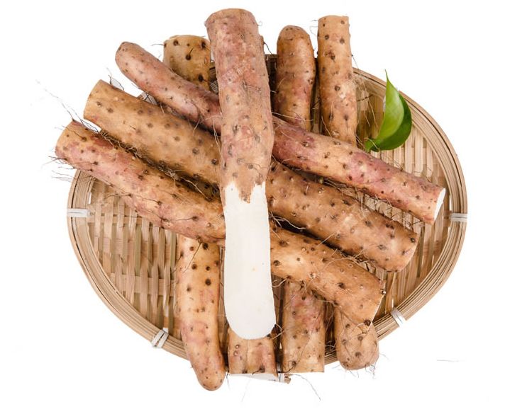 垆土铁棍山药乃山药之王,垆土山药和铁棍山药有什么区别