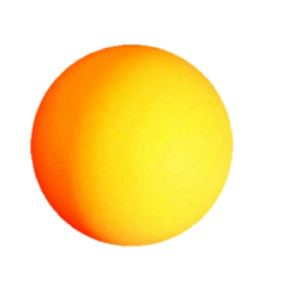 科学砰砰秀之弹力世界