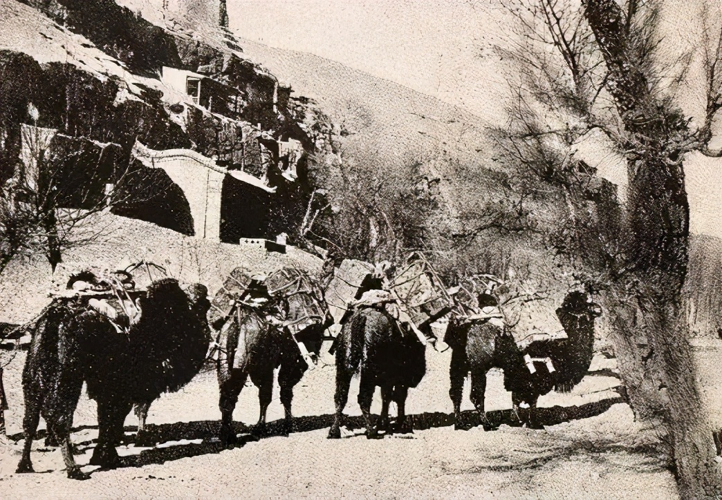 伯希和1283号文书：中世纪粟特间谍眼中的大唐北疆报告