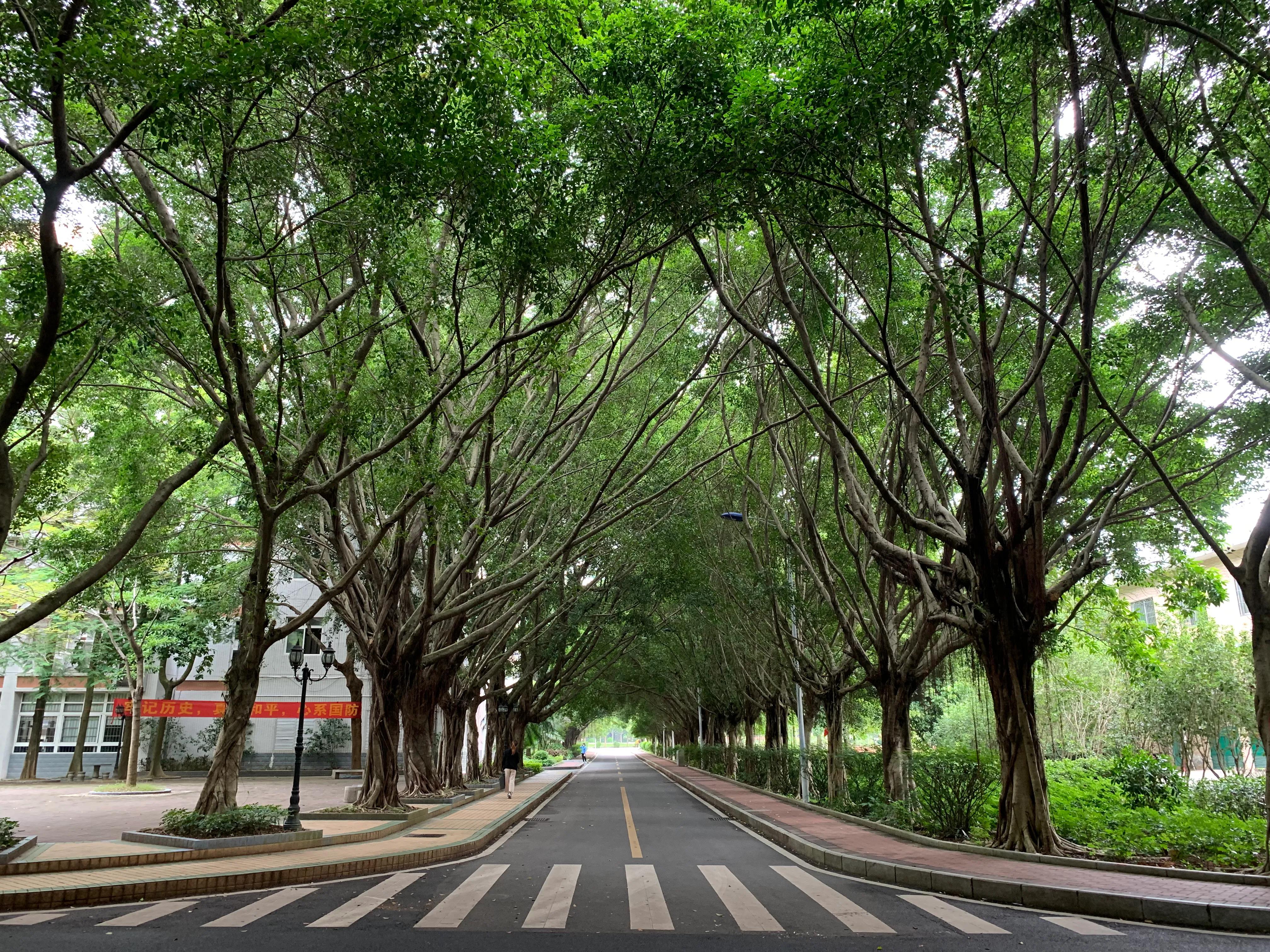 广州城建职业学院官方,广州城建职业学院自主招生