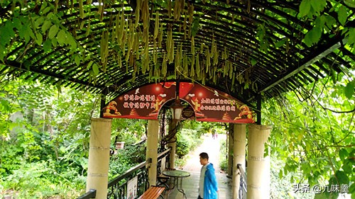 中国天然氧吧之城郑州,郑州周边森林氧吧