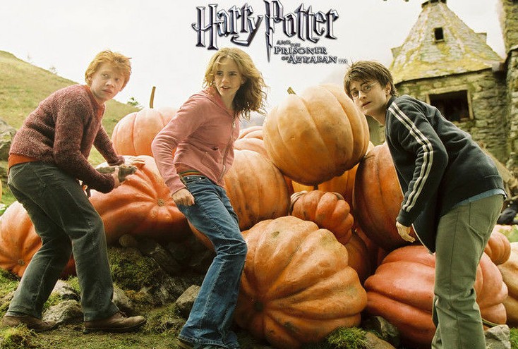 哈利波特与阿兹卡班的囚徒游戏,哈利波特与阿兹卡班的囚徒片段