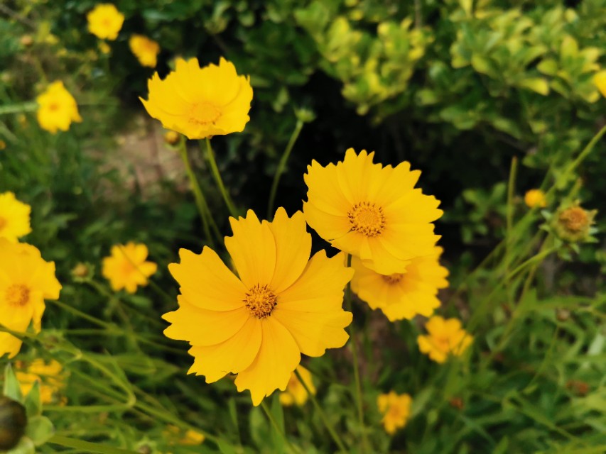 青岛高新区的公园让人们享受,青岛有个特别美的地方