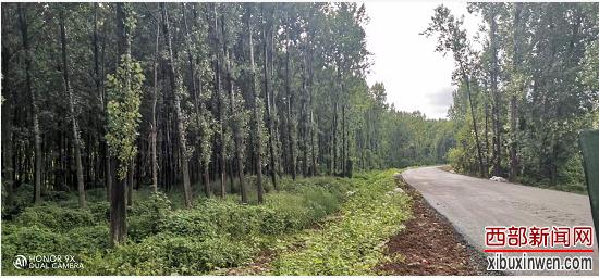 西安市长安区最高的村,西安长安哪些村准备建成美丽乡村